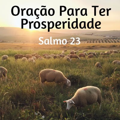 Oração para ter prosperidade: Salmo 23