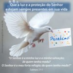 Mensagem com versículo de bênção para aniversariante como o Salmo 27:1