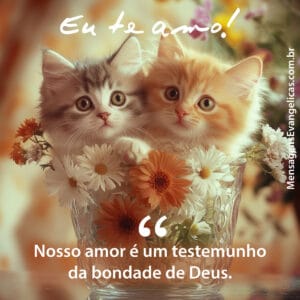 Foto de casal de gatinhos namorados com frase de amor com a frase: Nosso amor é um testemunho da bondade de Deus.