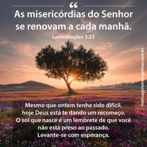 Imagem de árvore em um campo de flores e texto com reflexão de mensagem de bom dia com versículo Lamentações 3:23