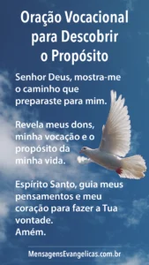 Oração Vocacional para Descobrir o Propósito - foto de pomba voando