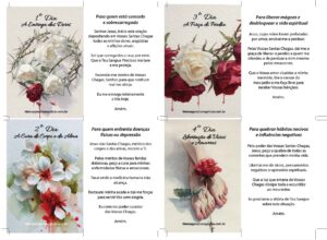 Arte Santinho Novena Santas Chagas de Jesus