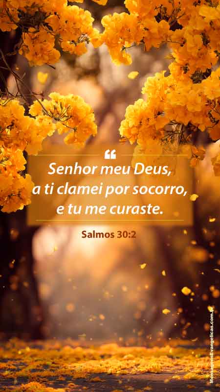 Flor amarela da árvore do Ipê e frase com o Salmos 30:2 sobre gratidão a Deus pela cura.
