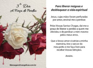 Novena a Santas Chagas de Jesus com imagem de rosas brancas e vermelhas.